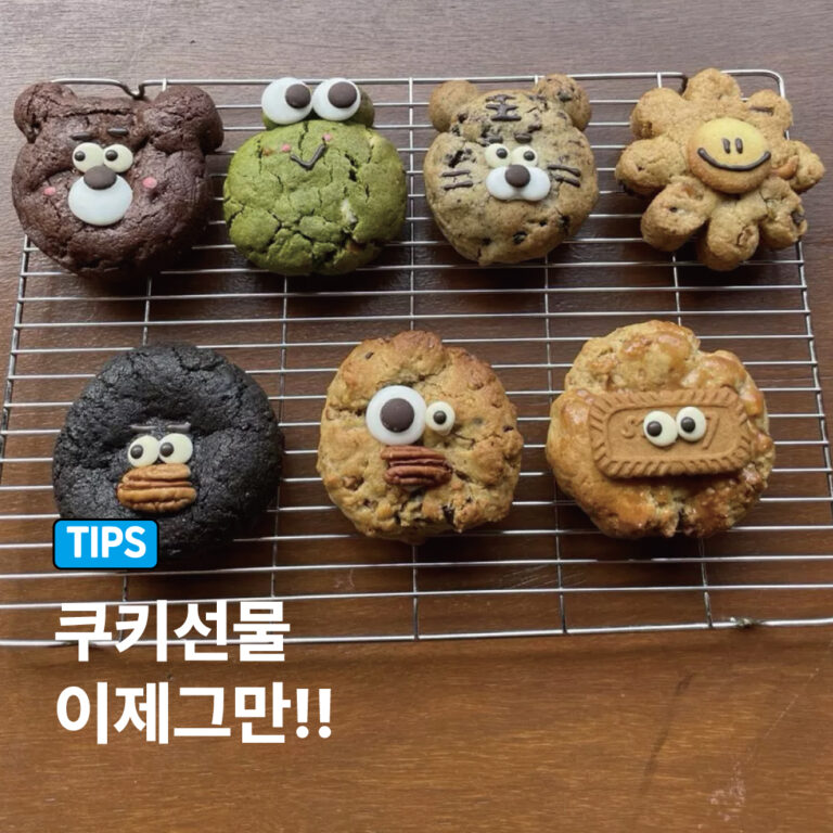 어린이집답례품 웨딩답례품 특이한돌답례품, 성수동 쿠키 선물 추천