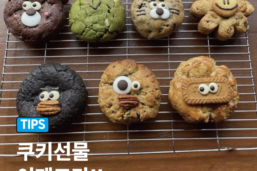 어린이집답례품 웨딩답례품 특이한돌답례품, 성수동 쿠키 선물 추천